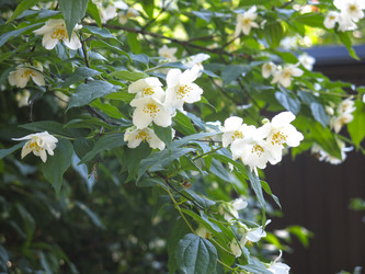 Similar image 21236188