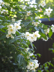 Similar image 21236189