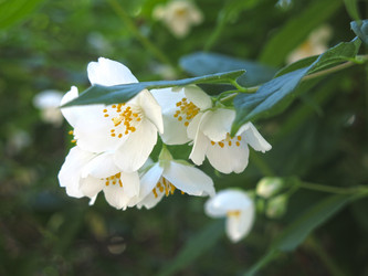 Similar image 21236190