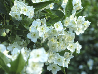 Similar image 21236192