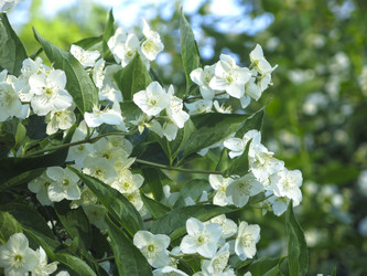 Similar image 21236194