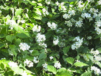 Similar image 21236196