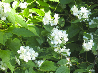 Similar image 21236197