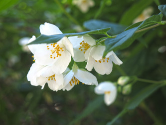 Similar image 21236199