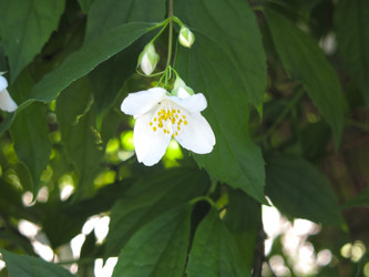 Similar image 21236200