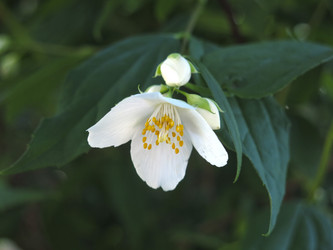 Similar image 21236201