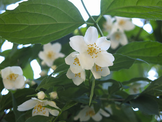 Similar image 21236202