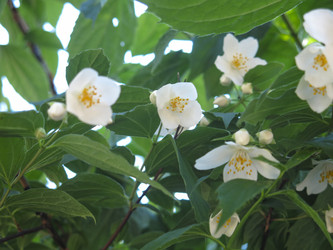 Similar image 21236203