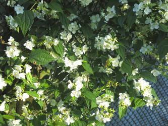 Similar image 21236206