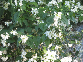 Similar image 21236207