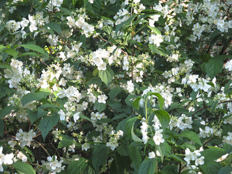 Similar image 21236208