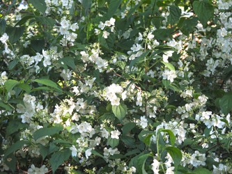 Similar image 21236209