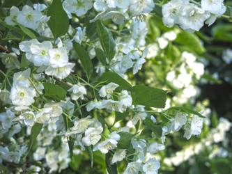 Similar image 21236210