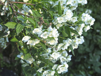 Similar image 21236211