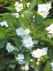 Similar image 21236212