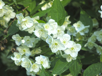 Similar image 21236213