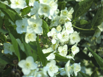 Similar image 21236214