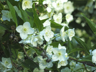 Similar image 21236215