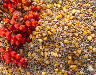 Similar image 21236226