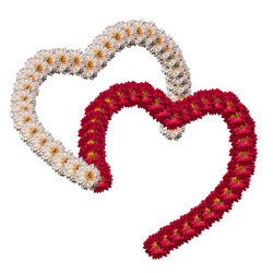 Similar image 21236230