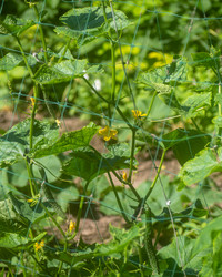 Similar image 21236235