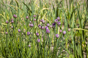 Similar image 21240107