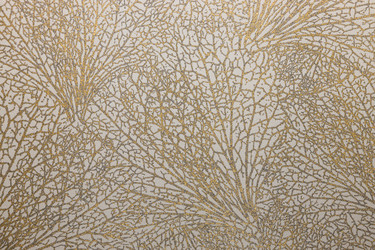 Similar image 21241168