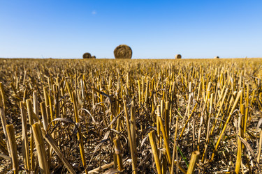 Similar image 21241243