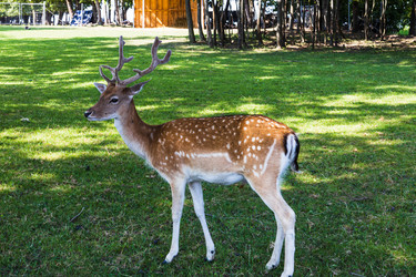 Similar image 21241246