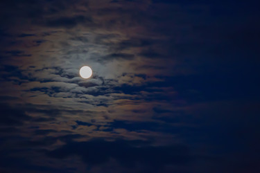 Similar image 21253281