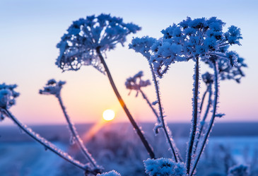 Similar image 21252854