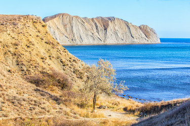 Similar image 21252889