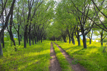 Similar image 21252894