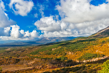 Similar image 21236242