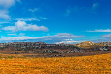 Similar image 21236247