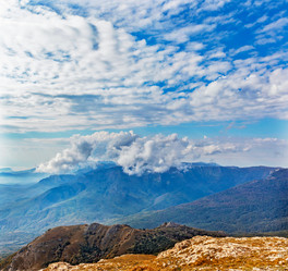 Similar image 21236262