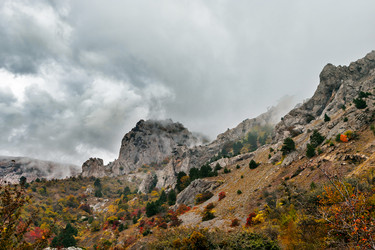 Similar image 21236264