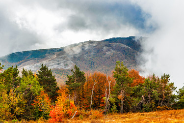 Similar image 21236270