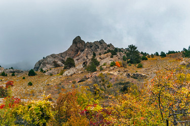 Similar image 21236272