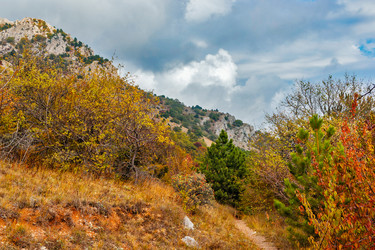 Similar image 21236279