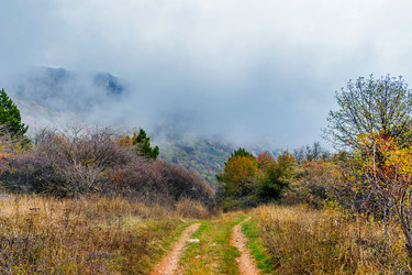 Similar image 21236280