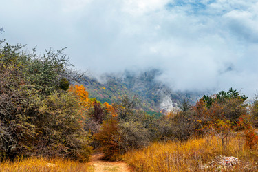 Similar image 21236281