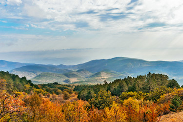 Similar image 21236287