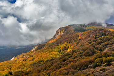 Similar image 21236293