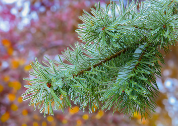 Similar image 21252928