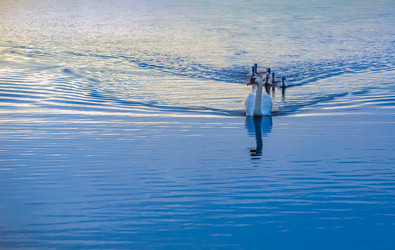 Similar image 21252961