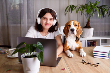 Similar image 21254464