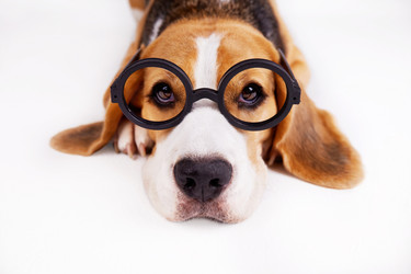 Similar image 21239484