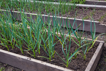 Similar image 21249922