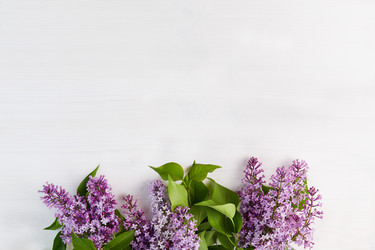 Similar image 21256393